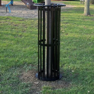 Strap Steel Tree Grate